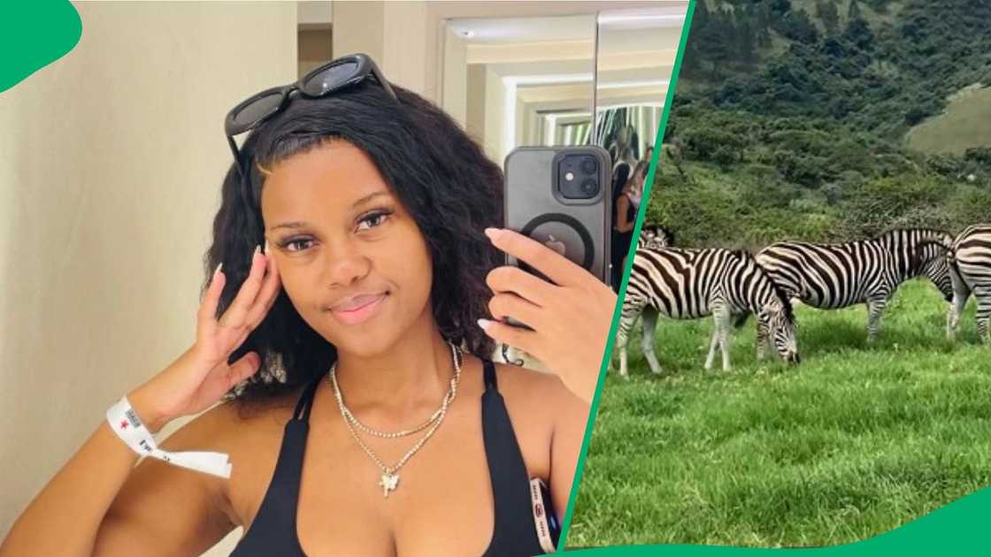 Woman shows affordable game drive in KZN Woman shows affordable game drive in KZN