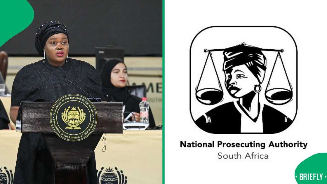 Justice Minister Mmamoloko Kubayi ordered that all NPA prosecutors undergo lifestyle audits Justice Minister Mmamoloko Kubayi ordered that all NPA prosecutors undergo lifestyle audits