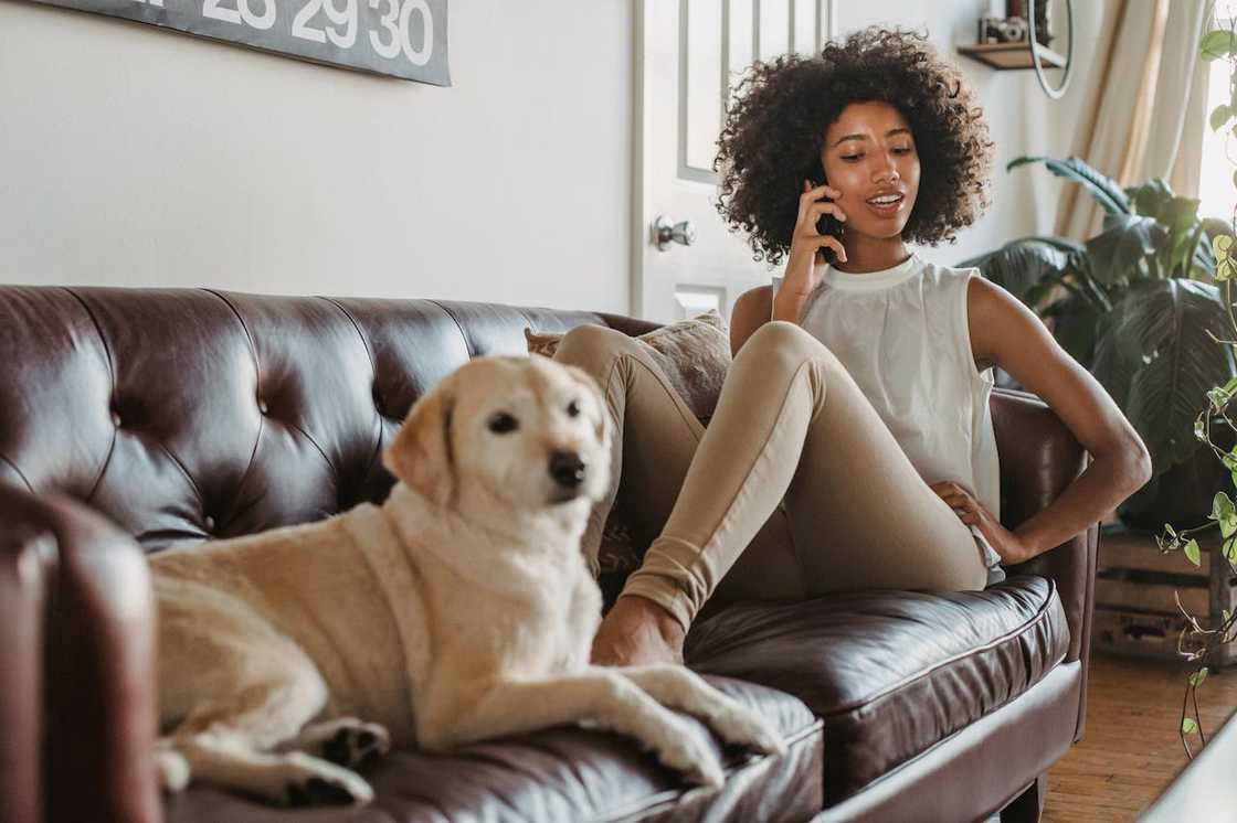 A woman relaxes on a couch with a dog beside her while she talks on the phone.