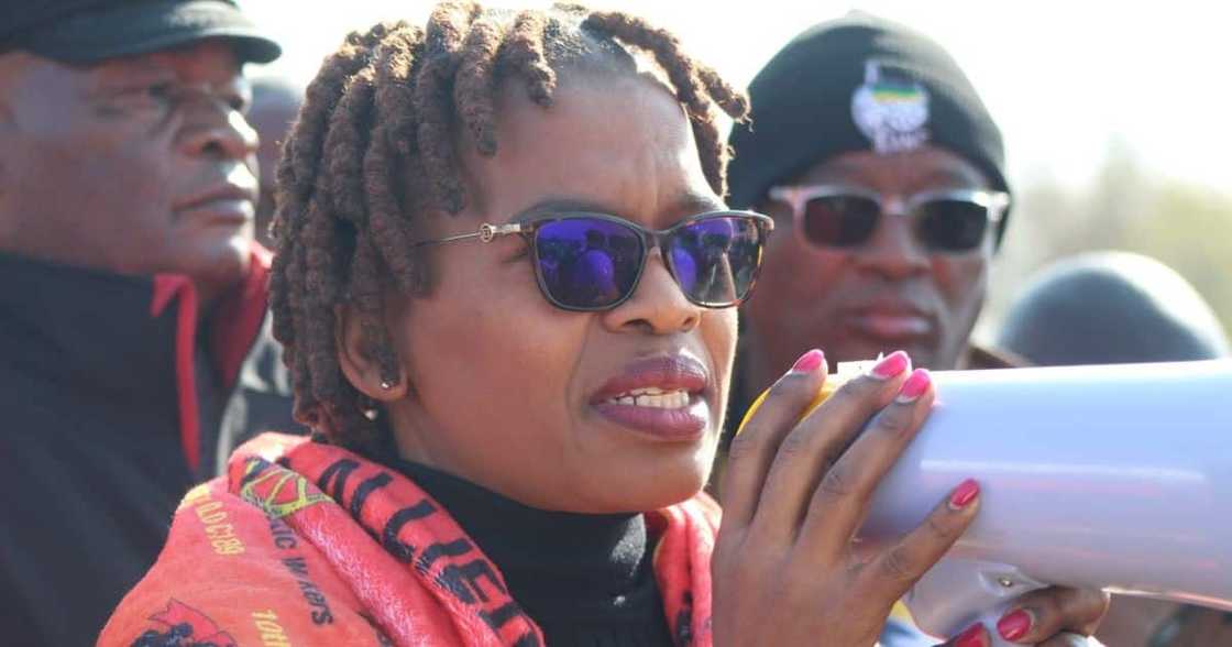 Zingiswa Losi Zingiswa Losi