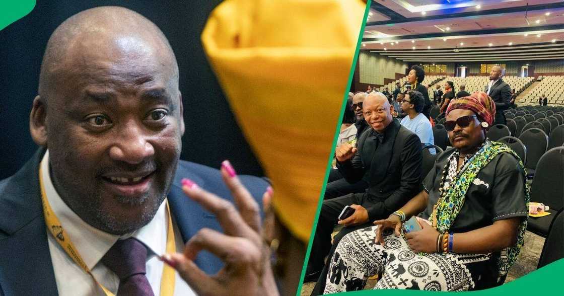 Rasta portrays Gayton McKenzie applauding politician on ministry role