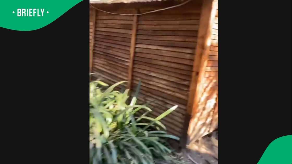 A woman working in Sandton was looking for a rental. A woman working in Sandton was looking for a rental.