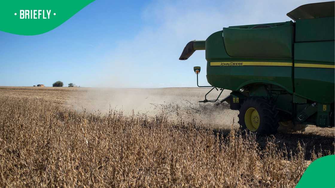 Moeletsi Mbeki claimed that the land was better used in the hands of farmers Moeletsi Mbeki claimed that the land was better used in the hands of farmers