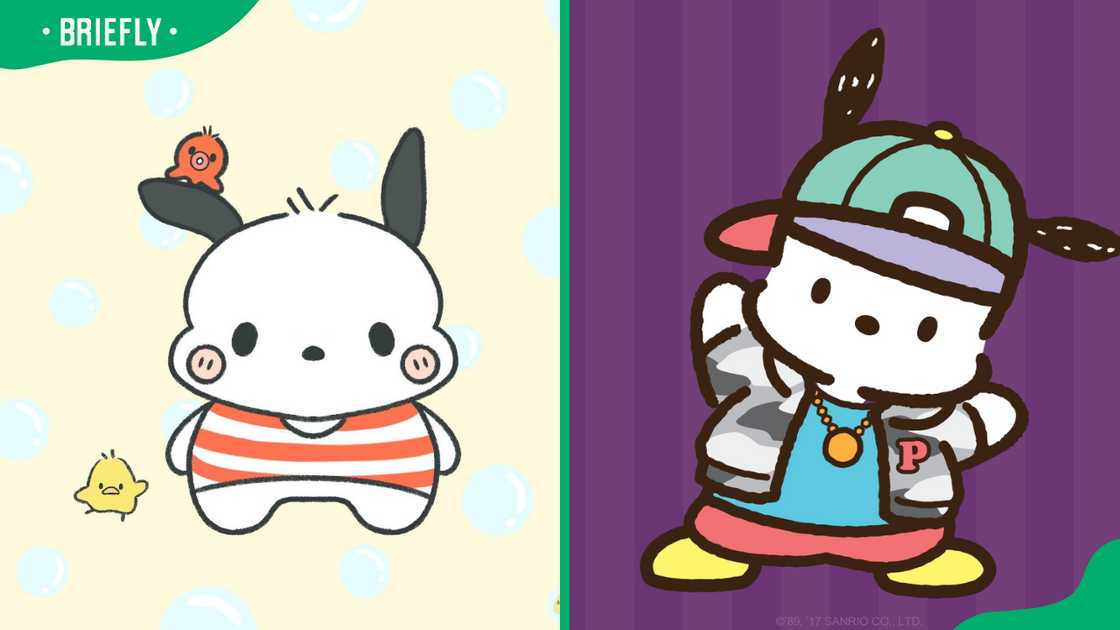 Pochacco dressed in a red and white striped shirt (L). The character standing with one hand on its hip (R) Pochacco dressed in a red and white striped shirt (L). The character standing with one hand on its hip (R)