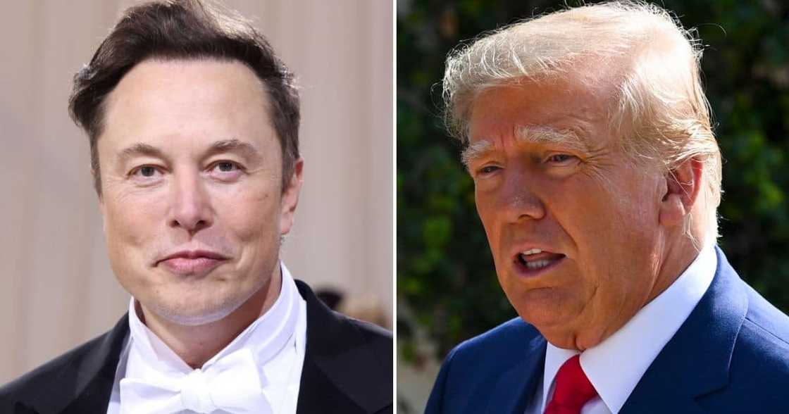 Elon Musk lifts Trump's suspension on Twitter Elon Musk lifts Trump's suspension on Twitter