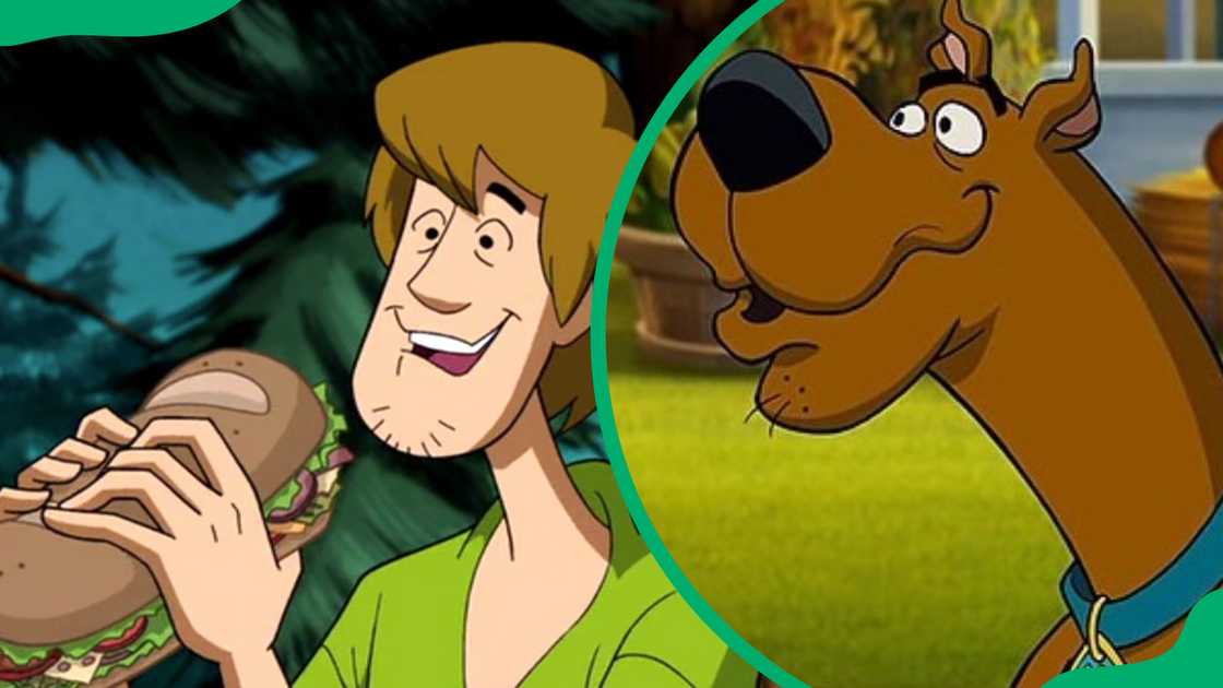 Scooby-Doo & Shaggy Scooby-Doo & Shaggy