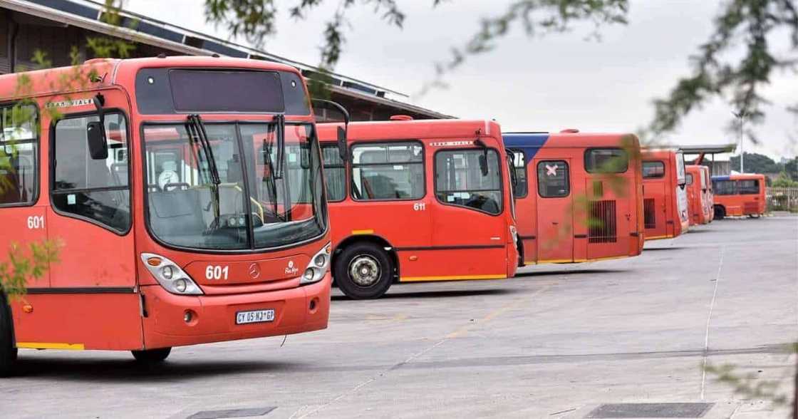 Bus service, Rea Vaya