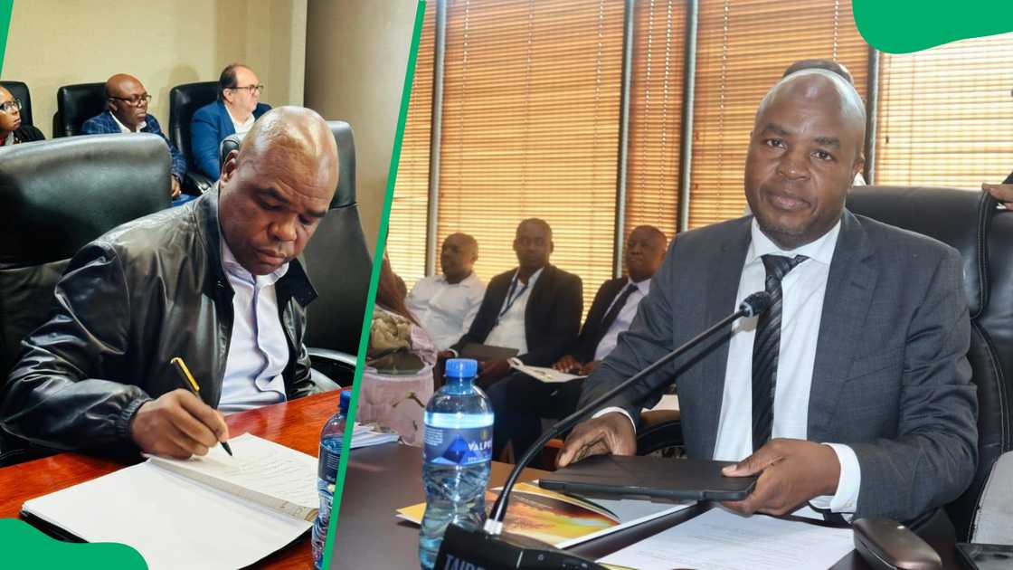 The head of Mpumalanga The head of Mpumalanga