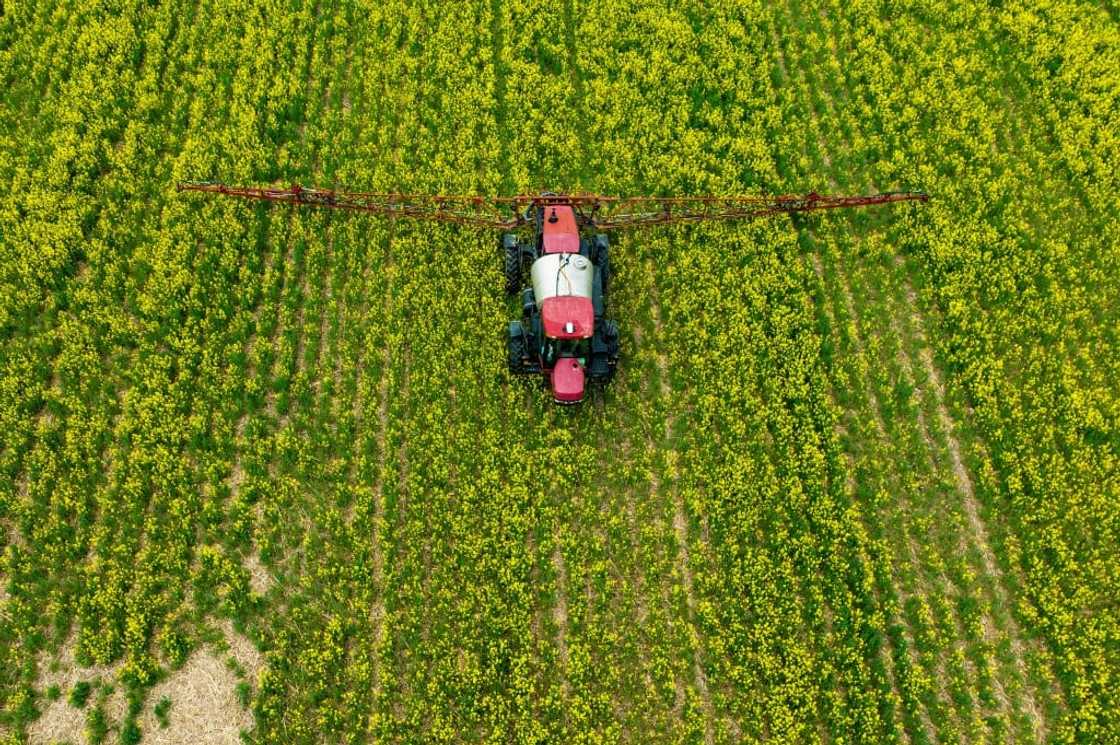 Researchers have called for "legal consequences" for companies that did not follow the law in providing health data to EU regulators Researchers have called for "legal consequences" for companies that did not follow the law in providing health data to EU regulators