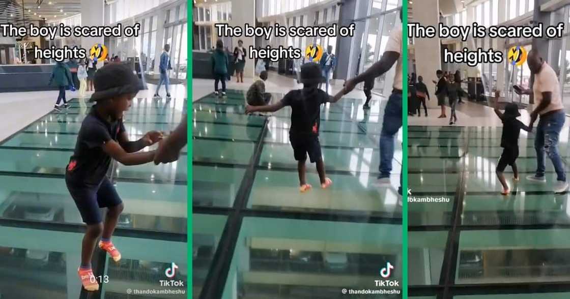 A young boy who is afraid of heights A young boy who is afraid of heights