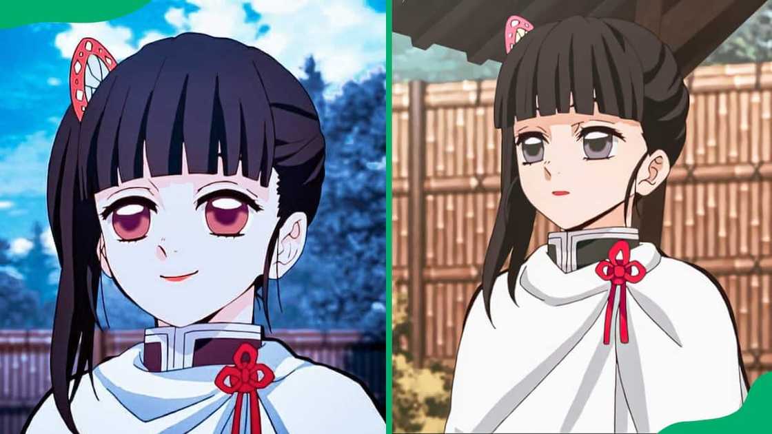 Demon Slayer characters Demon Slayer characters