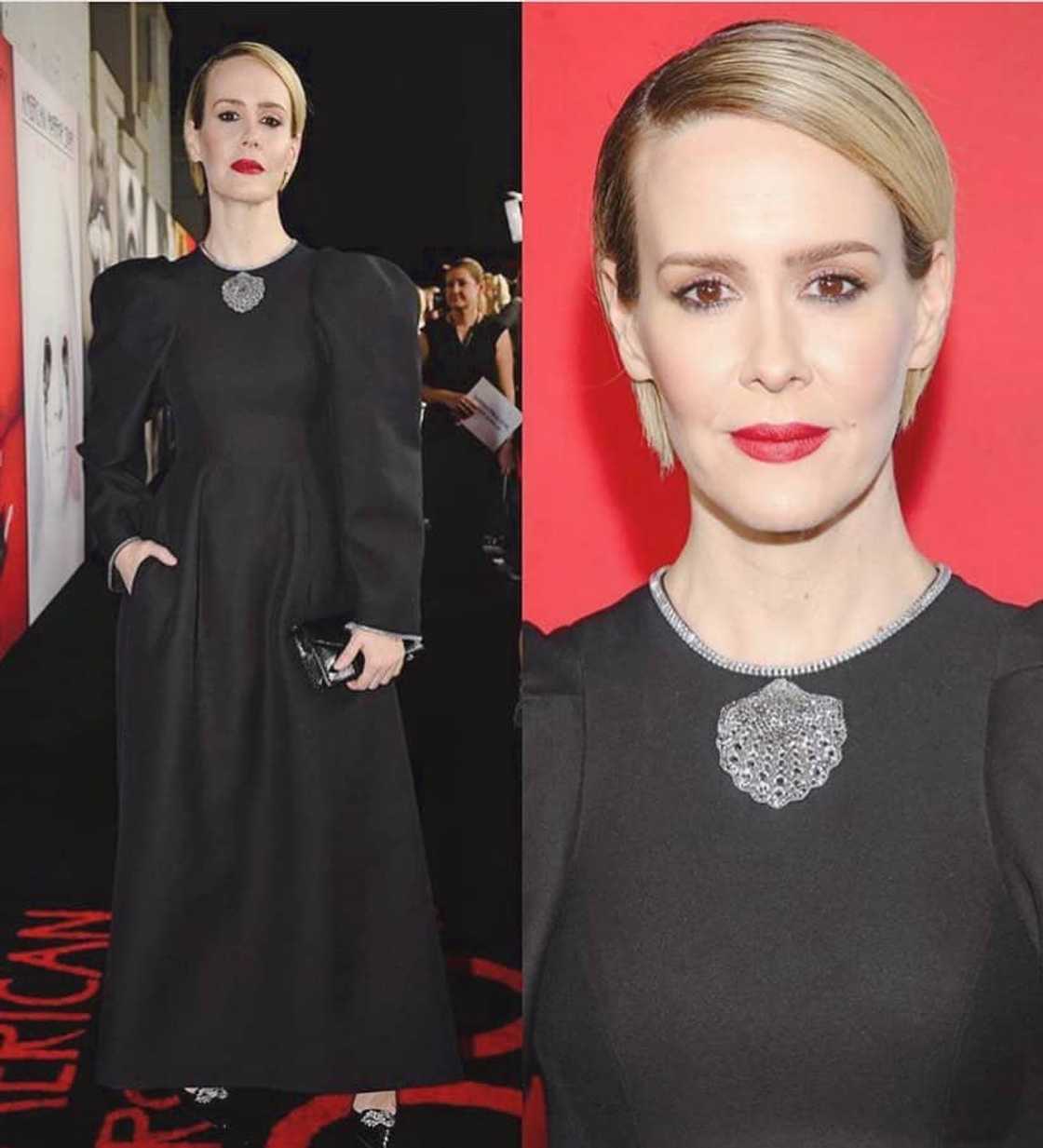 Sarah Paulson bio