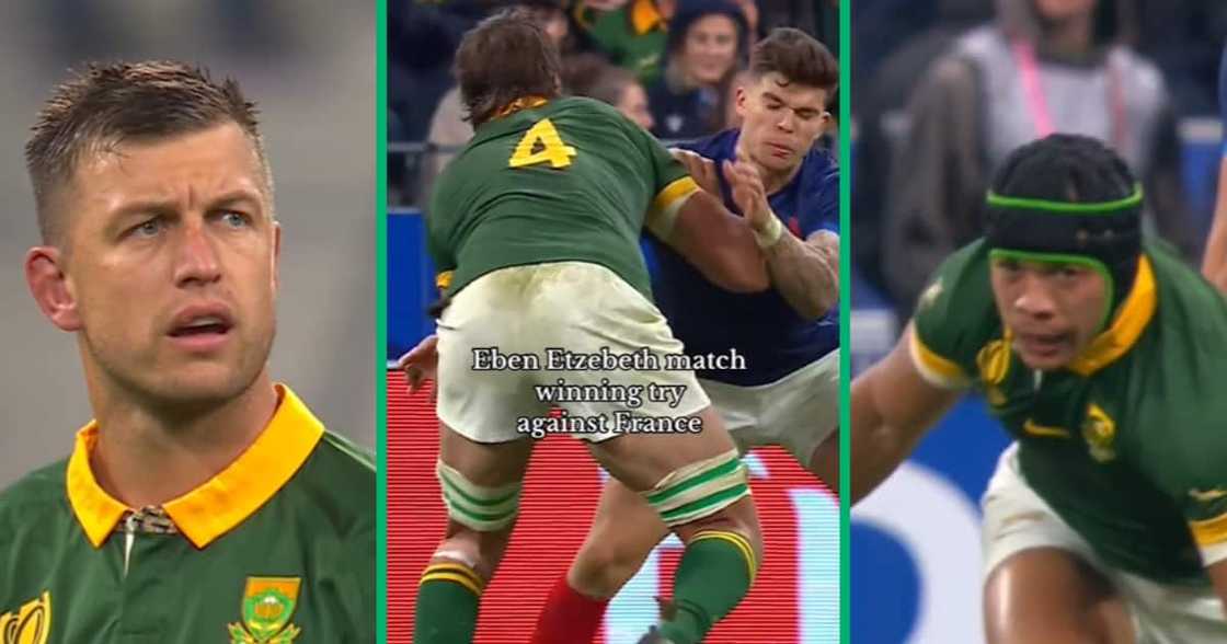 Springbok, rugby, TikTok video, Mzansi