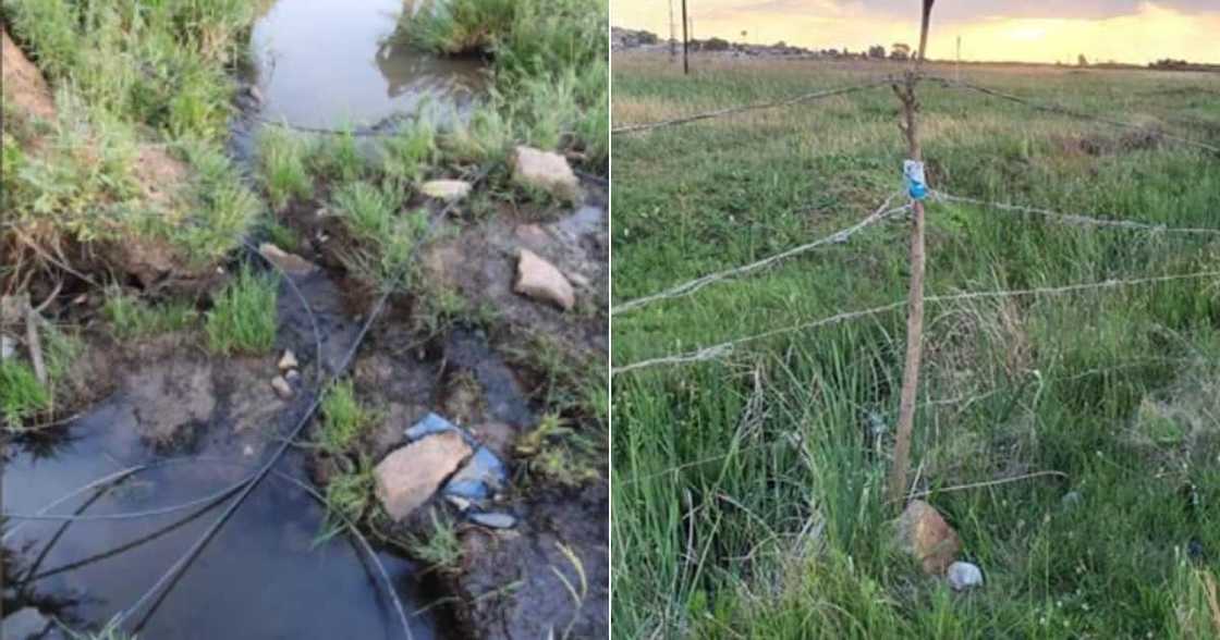 Eskom, electrocuted, 11 year old boy Eskom, electrocuted, 11 year old boy