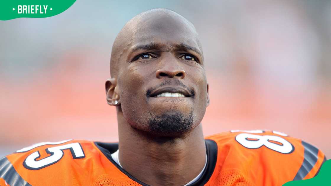 Chad Ochocinco in Cincinnati Chad Ochocinco in Cincinnati