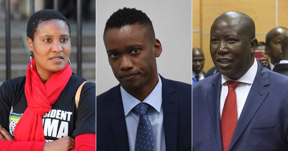 DA, EFF, Duduzile Zuma-Sambudla, Duduzane Zuma, Julius Malema, John Steenhuisen, Jacob Zuma, protests DA, EFF, Duduzile Zuma-Sambudla, Duduzane Zuma, Julius Malema, John Steenhuisen, Jacob Zuma, protests