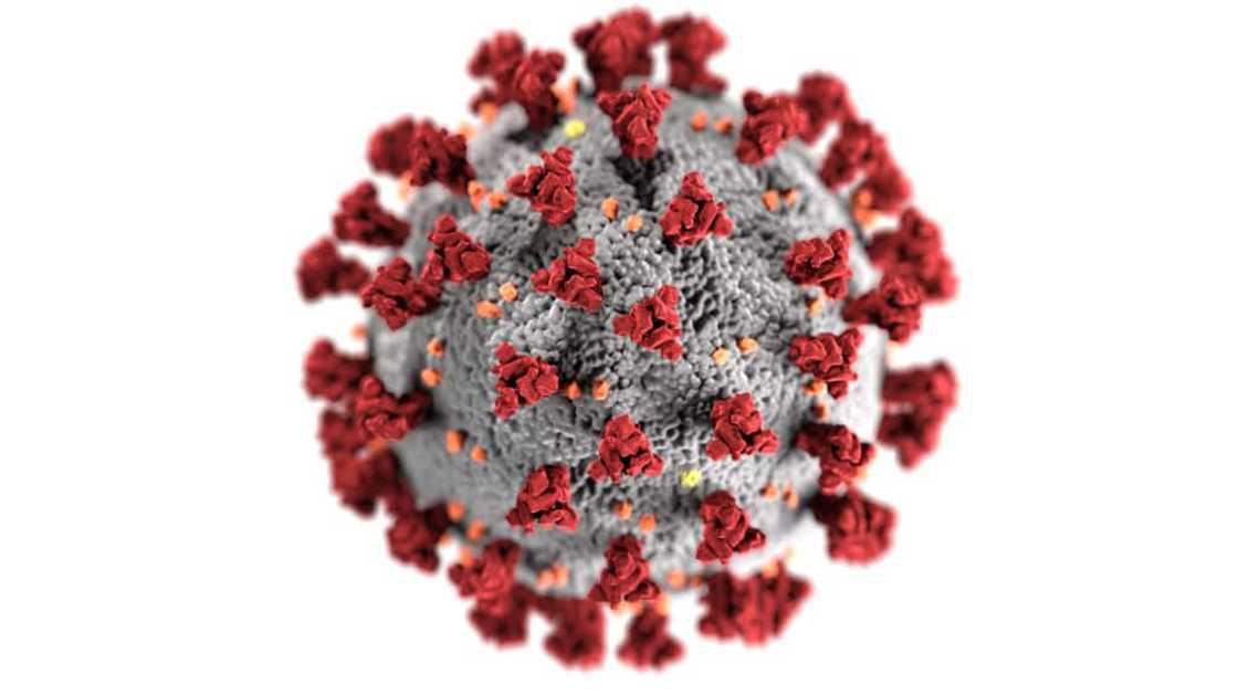 Covid-19, coronavirus, C.1.2 lineage, South Africa, Covid-19 variant