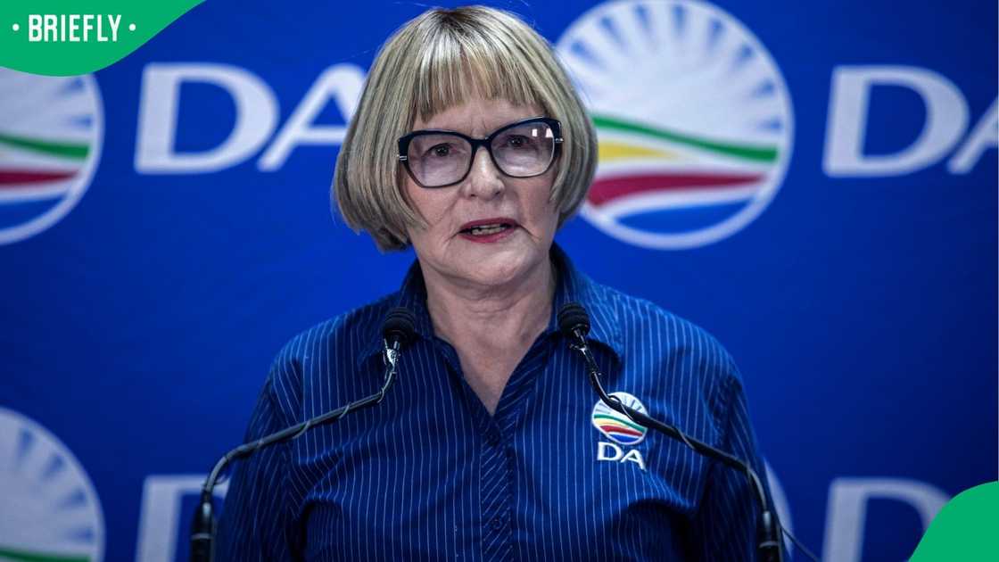 Helen Zille will step down as the DA's Federal Council Chairperson