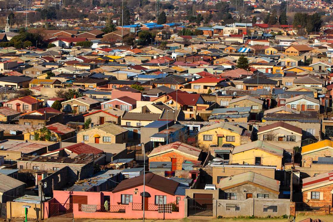 South Africans discussed drinking culture in township