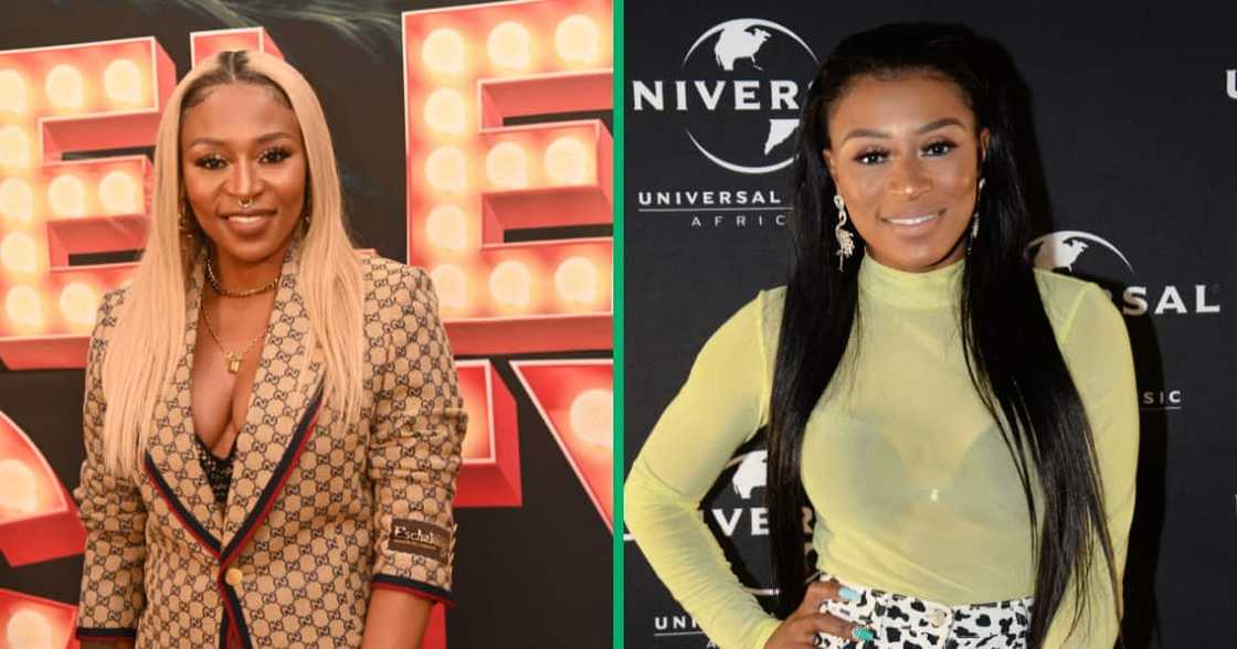 DJ Zinhle's Era bag was scrutinised on social media by netizens. DJ Zinhle's Era bag was scrutinised on social media by netizens.