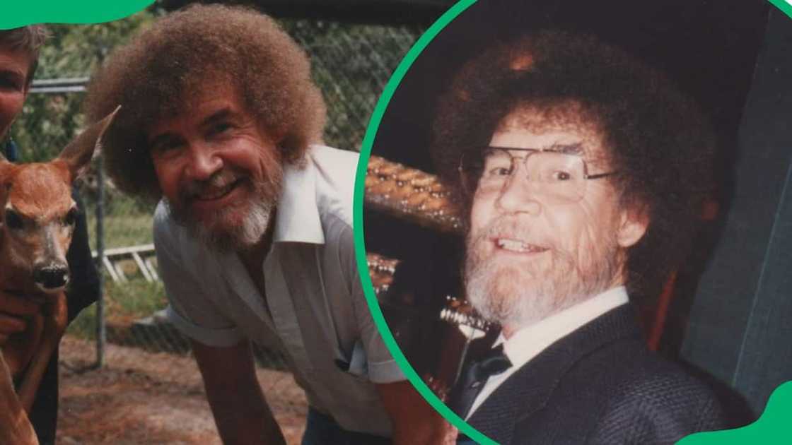 Bob Ross' painting career Bob Ross' painting career
