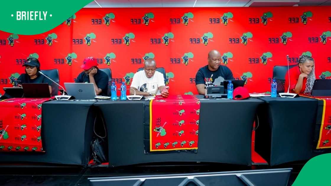 The Economic Freedom Fighters said it won't contest all the wards duing the local government elections