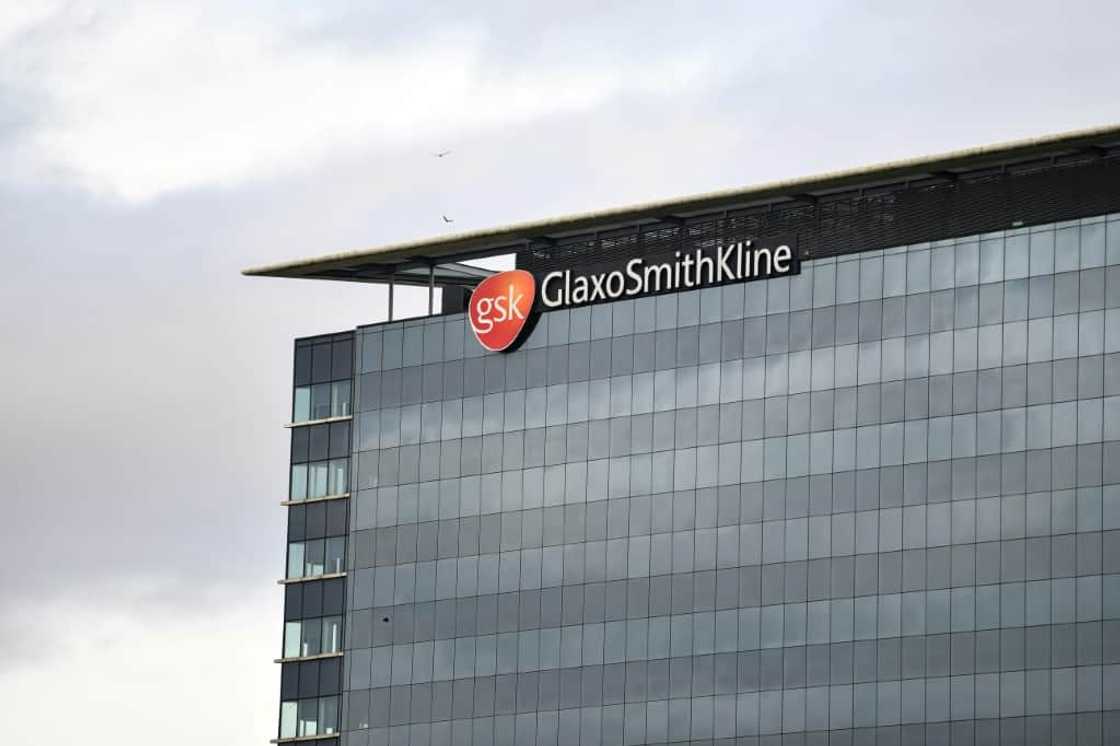 GSK's Arexvy vaccine is the culmination of a decades-long hunt to protect vulnerable people from the common RSV virus GSK's Arexvy vaccine is the culmination of a decades-long hunt to protect vulnerable people from the common RSV virus