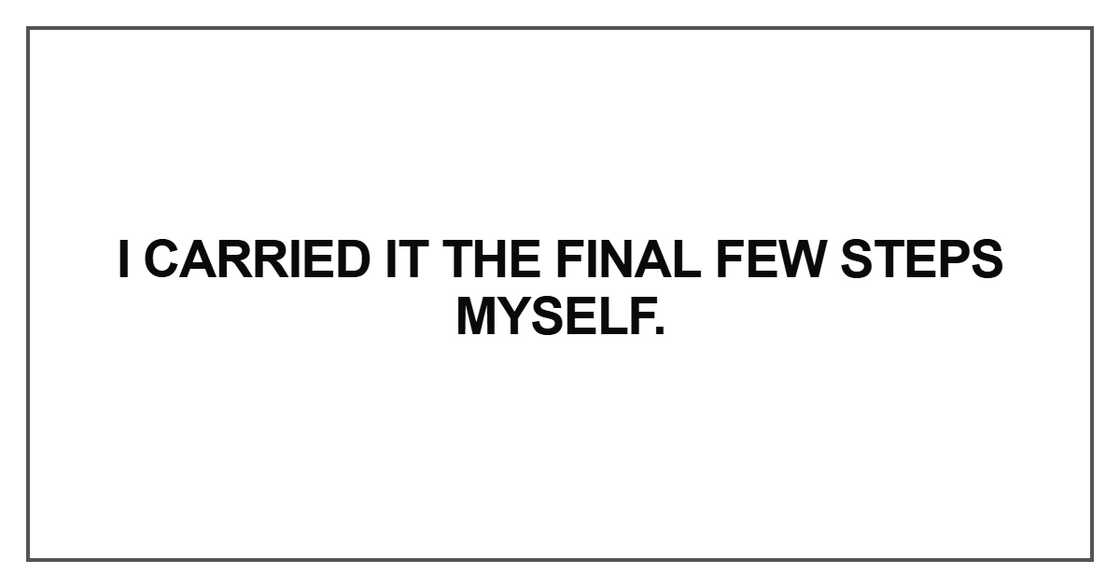 I carried it the final few steps myself I carried it the final few steps myself