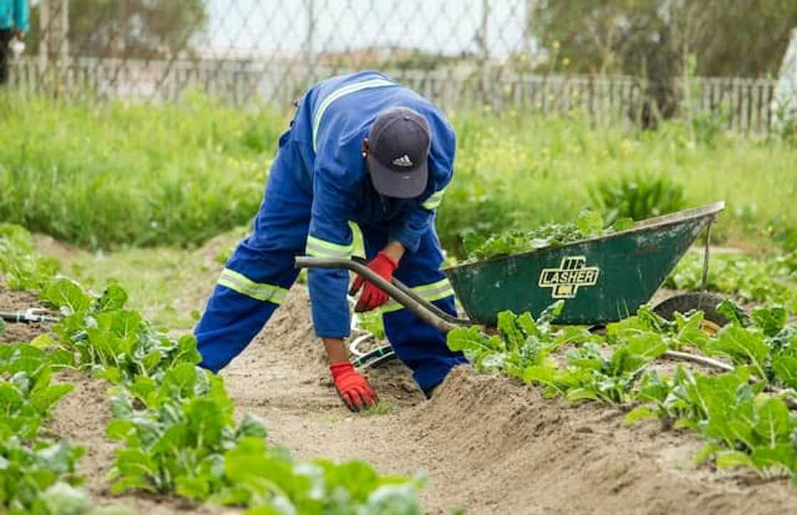 Where can I get funding for farming in South Africa?