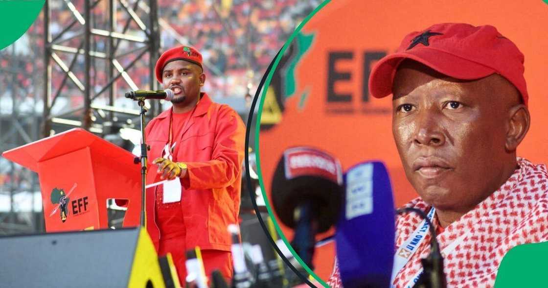 Julius Malema wants Nkululeko Dunga to be reinstated as the MEC Julius Malema wants Nkululeko Dunga to be reinstated as the MEC