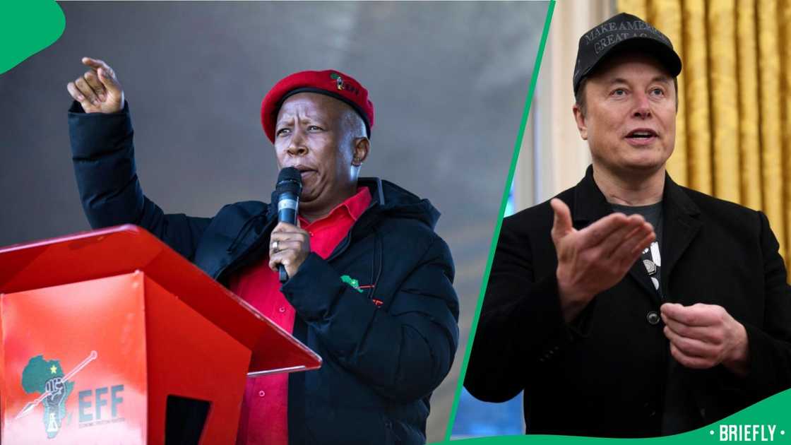 Julius Malema defended himself against Elon Musk calling him an international criminal Julius Malema defended himself against Elon Musk calling him an international criminal