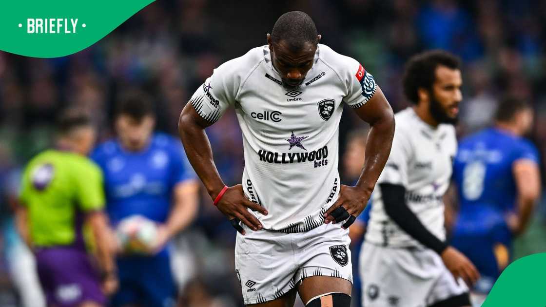 Makazole Mapimpi, Sharks, Springboks