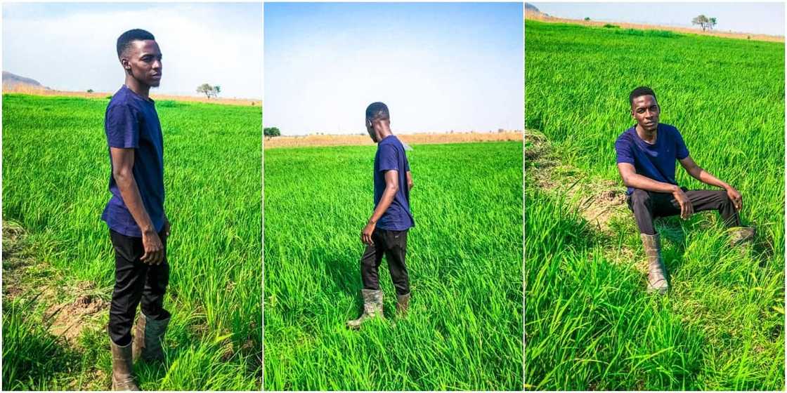 Fresh graduate who acquired farmland with NYSC allawee inspires many with his success Fresh graduate who acquired farmland with NYSC allawee inspires many with his success