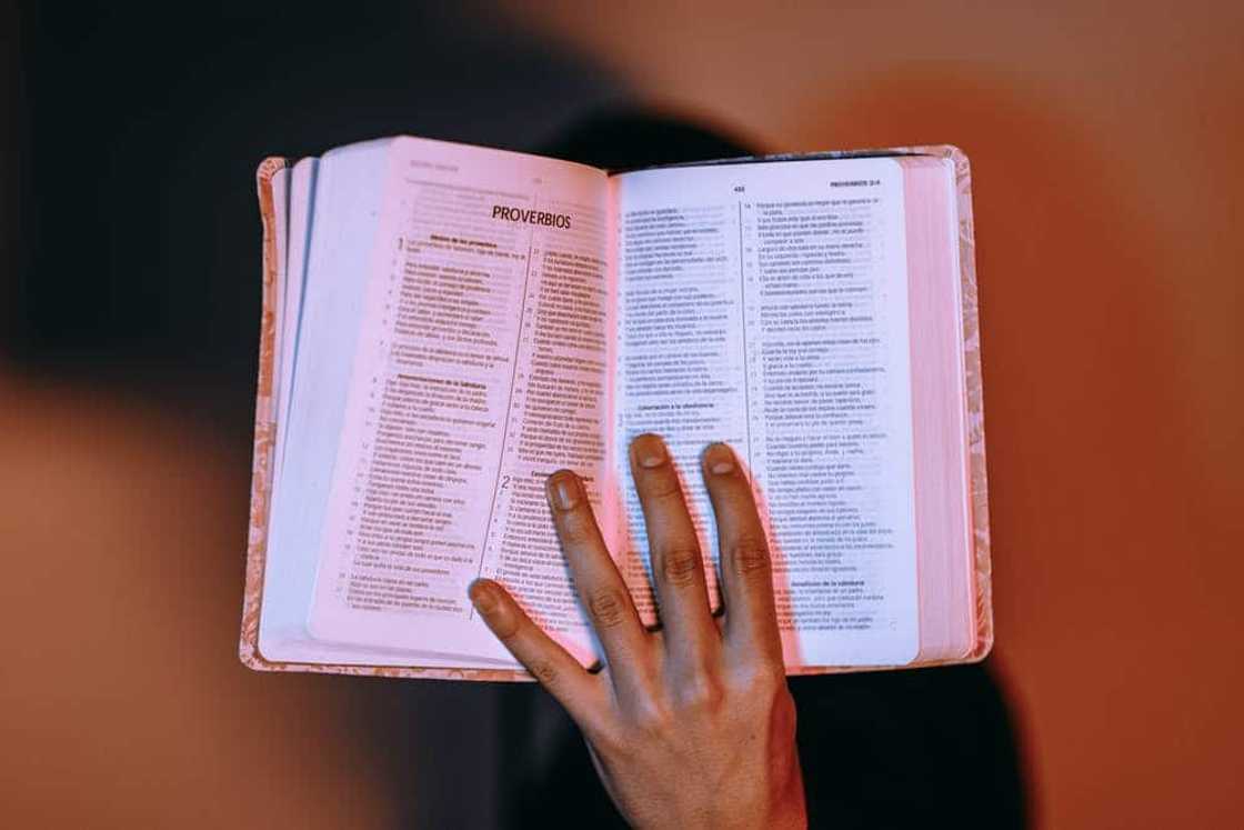 ecclesiastes verses about death ecclesiastes verses about death