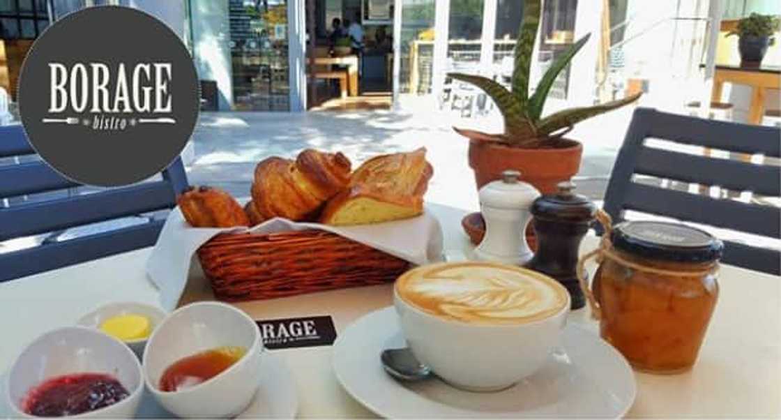 best breakfast in cape town kid friendly best breakfast in cape town kid friendly