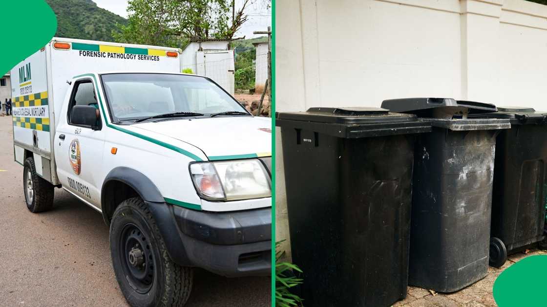A foetus was found dumped in a dustbin. A foetus was found dumped in a dustbin.