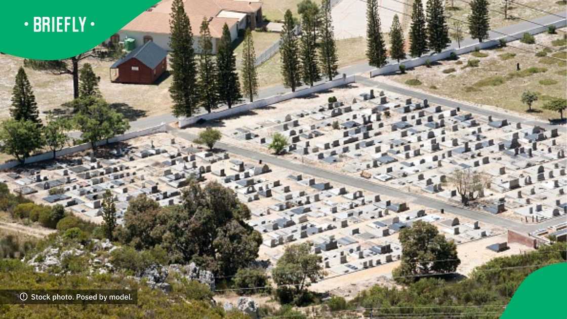 Residents in Durban live at graveyard