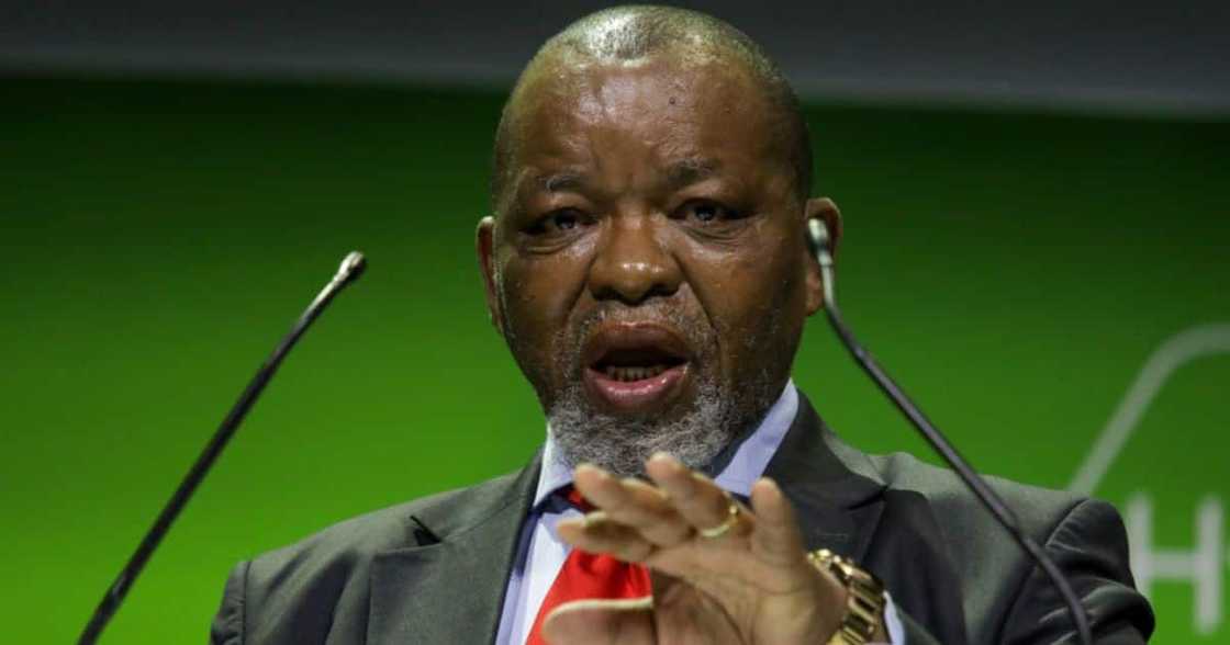 Mineral Resources and Energy Minister Gwede Mantashe