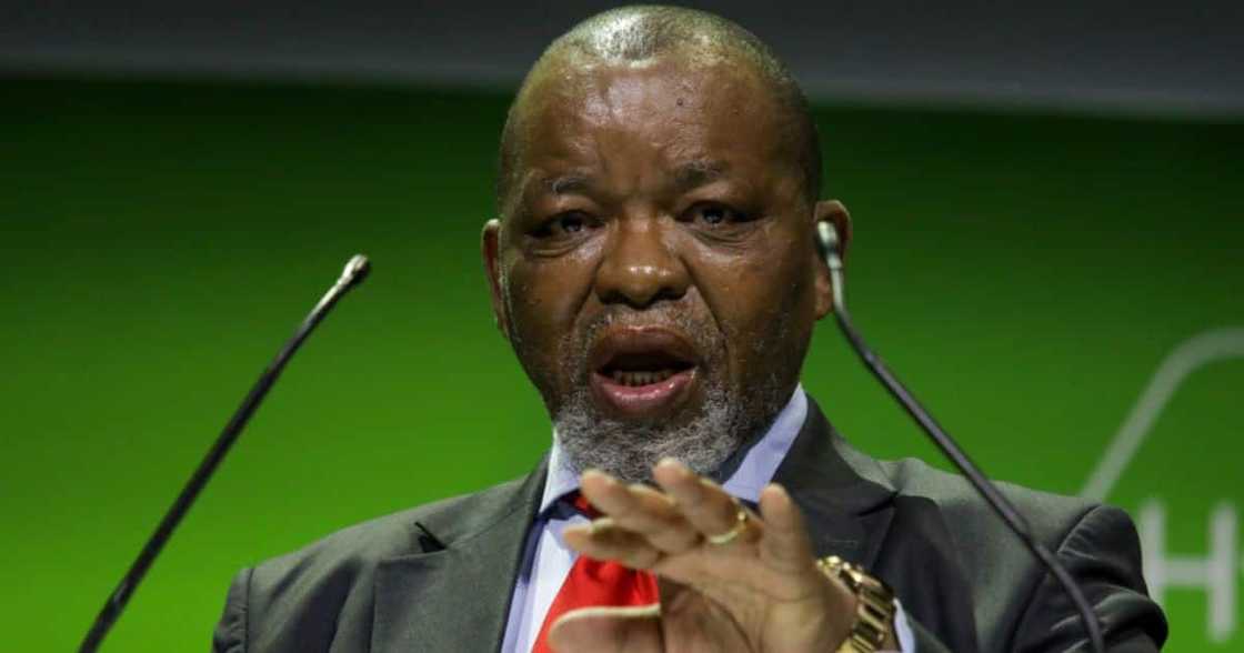 Mineral Resources and Energy Minister Gwede Mantashe Mineral Resources and Energy Minister Gwede Mantashe