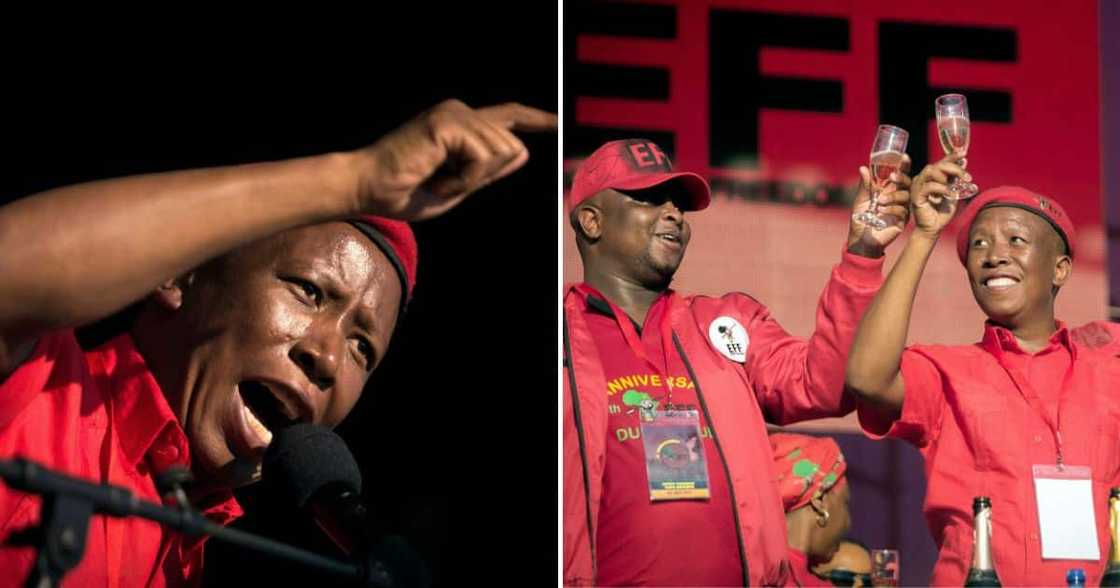 Julius Malema Eff Rally Julius Malema Eff Rally