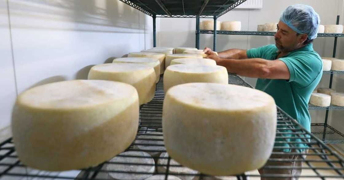 Clover Closes Biggest SA Cheese Factory in NW, Plans to Relocate to Durban Clover Closes Biggest SA Cheese Factory in NW, Plans to Relocate to Durban