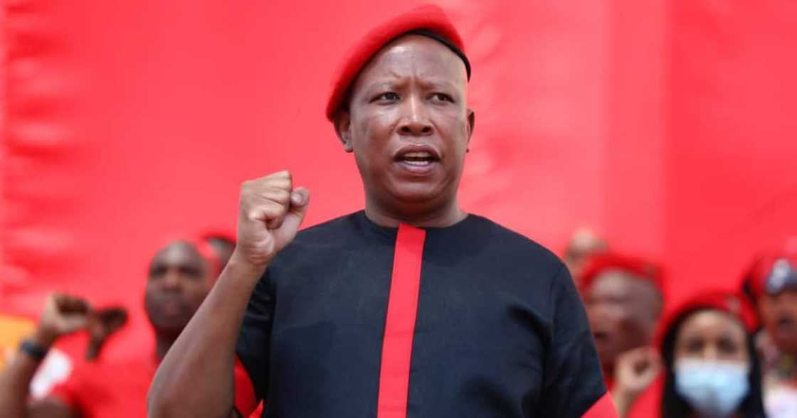 Julius Malema, UK Red list, South Africa, tourism, Covid-19, Coronavirus Julius Malema, UK Red list, South Africa, tourism, Covid-19, Coronavirus