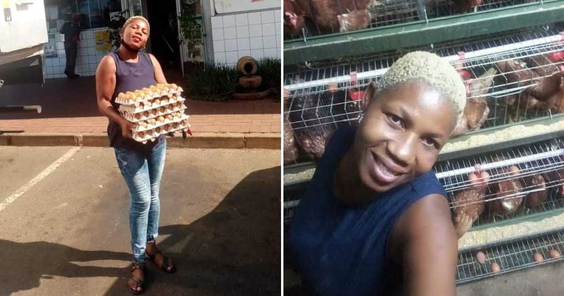 Lady who farms fish, chickens and vegetables Lady who farms fish, chickens and vegetables