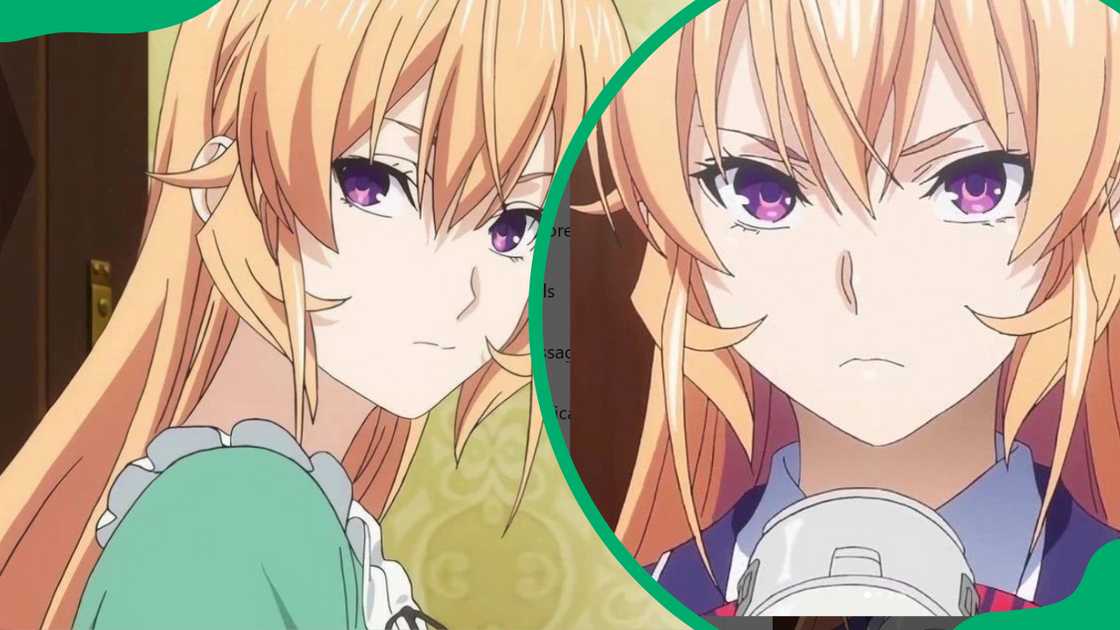 Erina Nakiri Erina Nakiri
