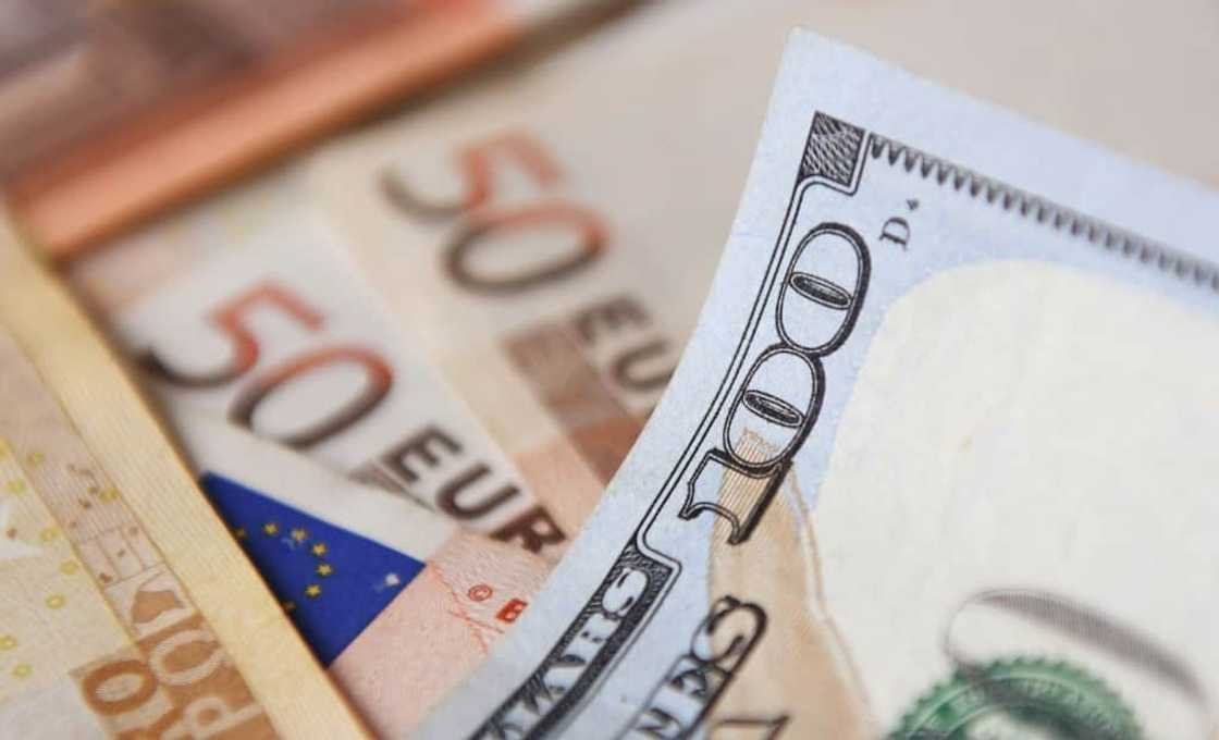 The dollar has surged against its main peers on rate hike bets and is now worth more than one euro The dollar has surged against its main peers on rate hike bets and is now worth more than one euro