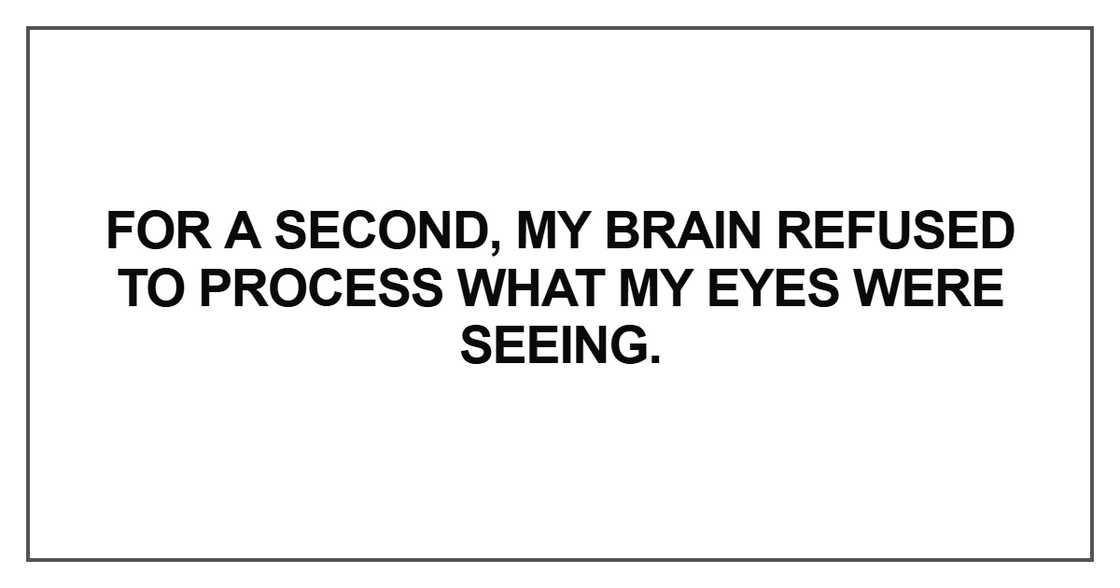 For a second, my brain refused