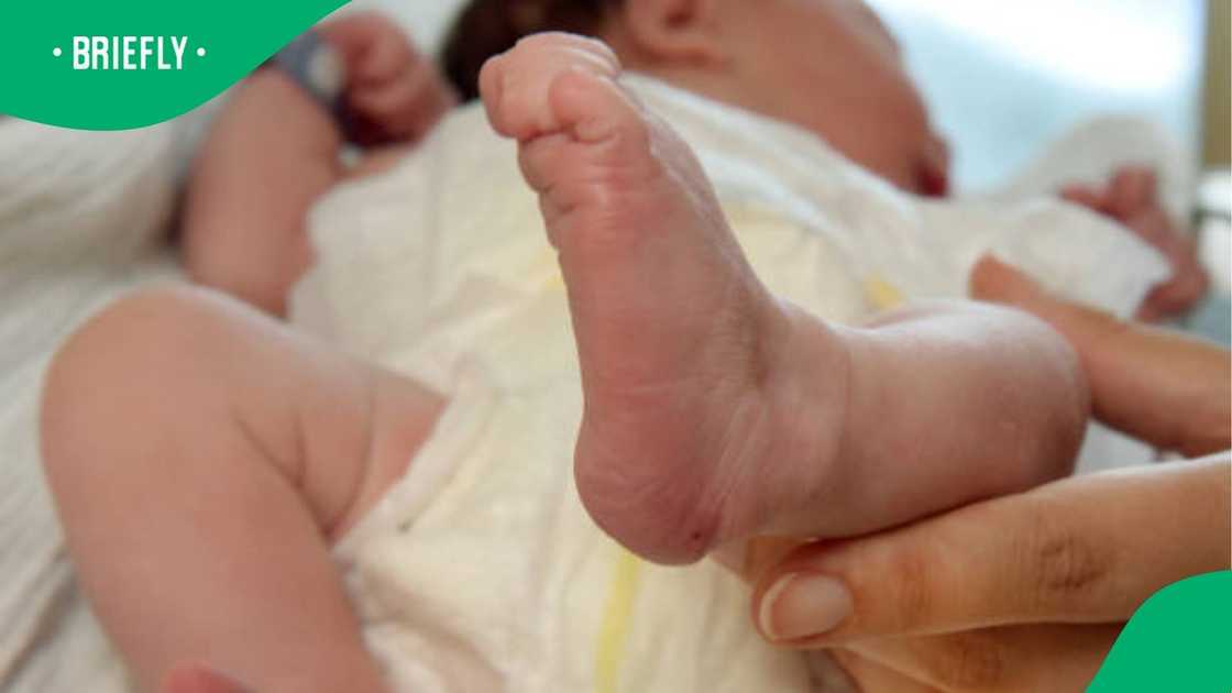 babies born on Christmas Day babies born on Christmas Day