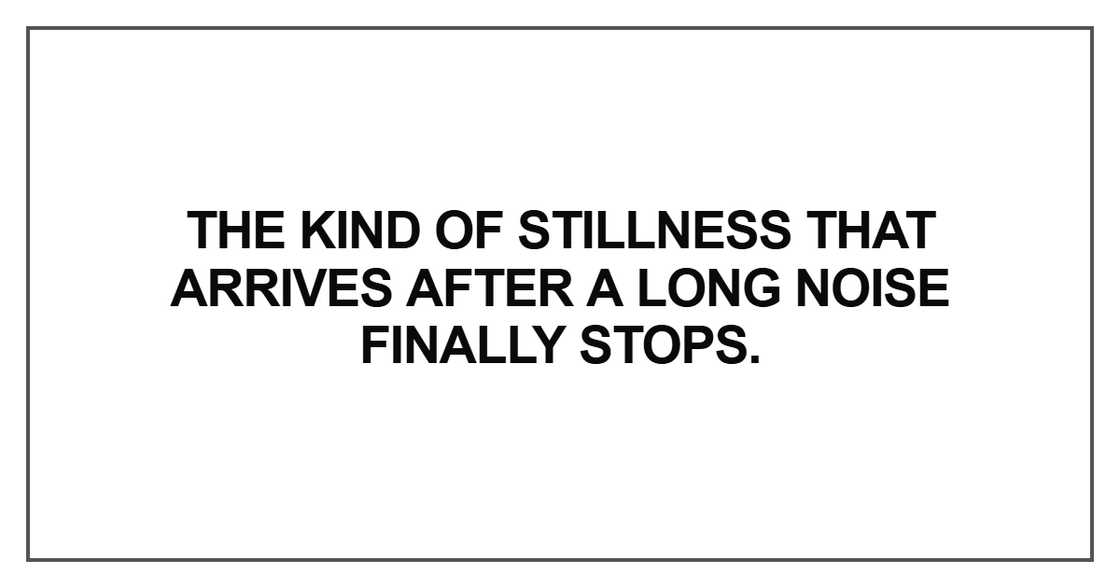 The kind of stillness that arrives The kind of stillness that arrives