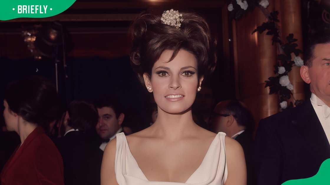 Actress Raquel Welch Actress Raquel Welch