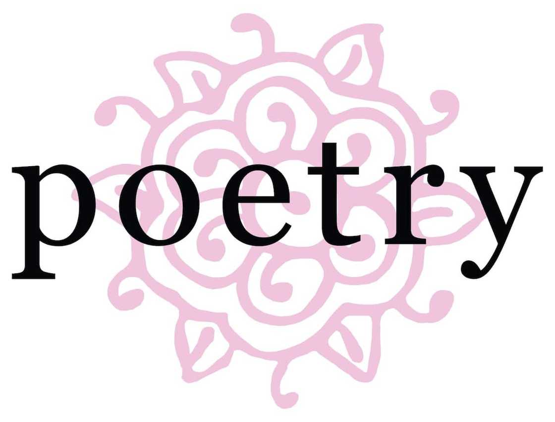 Poetry clothing Poetry clothing